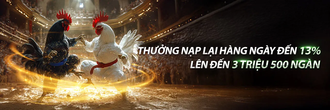 Hình ảnh giới thiệu KL99 nhà cái