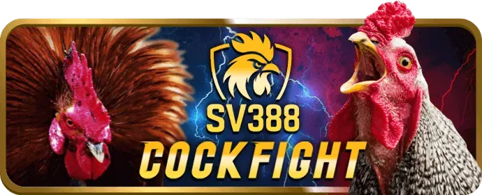 Chương trình VIP và phần thưởng độc quyền KL99